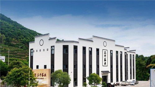 三千茶業(yè)中國茶業(yè)連鎖頭部品牌,領(lǐng)略中國茶文化魅力