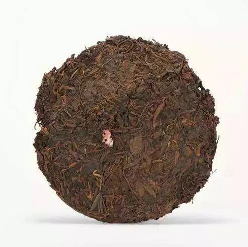 還未開(kāi)發(fā)的金山 普洱老茶