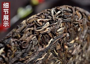 品鑒2019年石雨益昌號(hào)布朗古樹(shù)餅茶