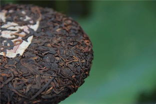 元昌全國(guó)茶友培養(yǎng)計(jì)劃