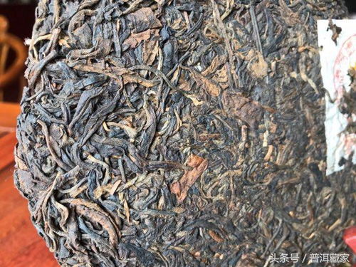 99易昌號的6個版本詳解 經典易武大樹茶典范